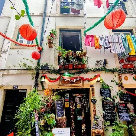 Casa Shardana, Appartamento